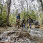 wvu research forest